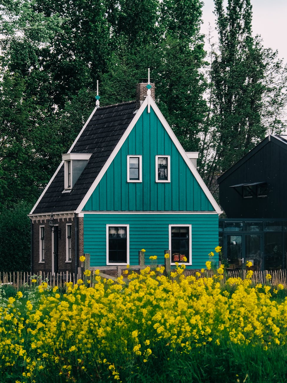 A charming Cape Dutch homestead with white walls, a thatched roof, and lush greenery.