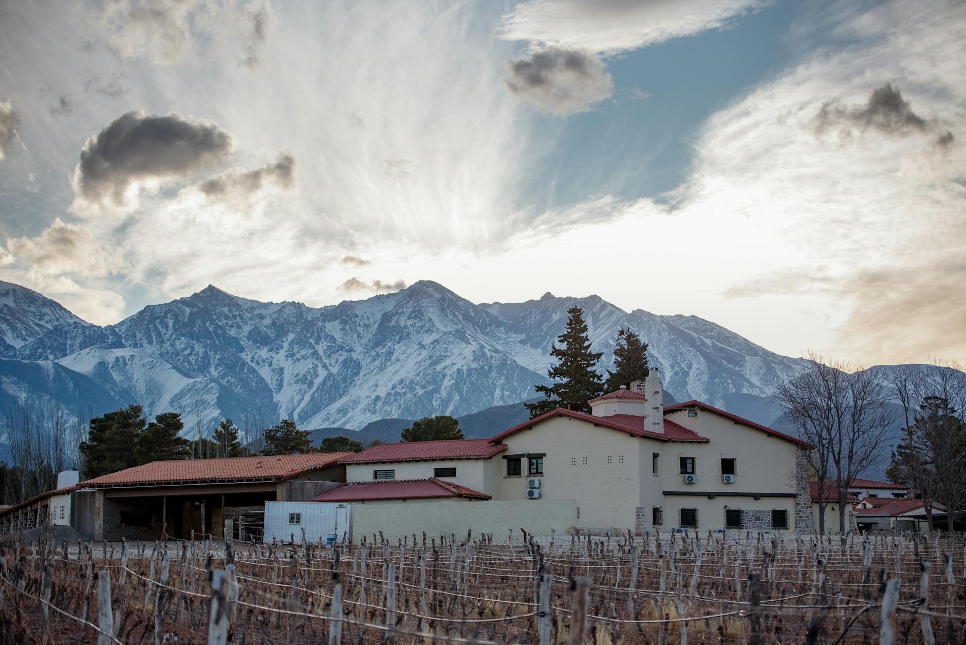 Expansive view of vineyards nestled in the Andes mountains, under a clear sky.