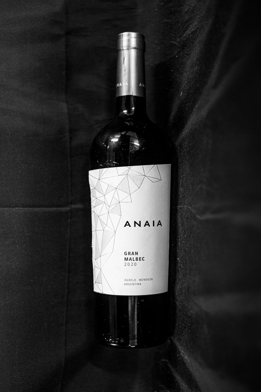 Neatly arranged rows of grapevines stretching into the distance across a high-altitude vineyard in Mendoza.