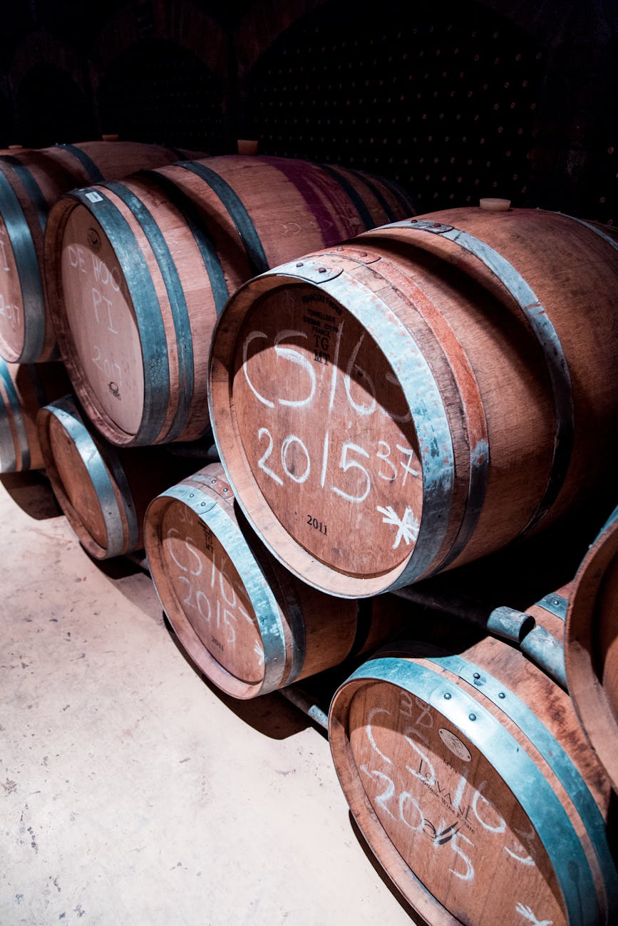Scenic view of a vineyard in the South African Cape Winelands